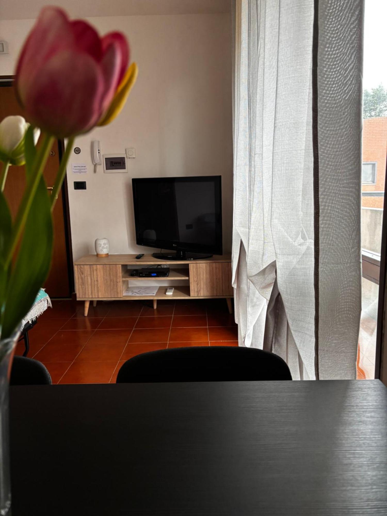 La Casa Di Jacopo A Fiumicino Apartment มัคคาเรเซ ภายนอก รูปภาพ